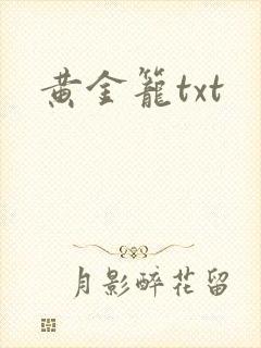 黄金笼txt