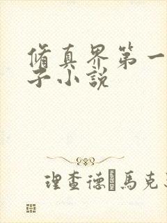 修真界第一病秧子小说