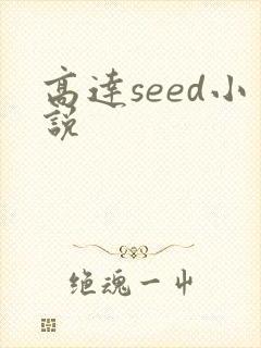 高达seed小说封面