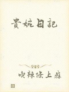 贵婉日记封面