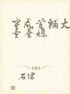 穿成首辅大人的童养媳