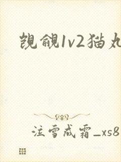 觊觎1v2猫丸封面