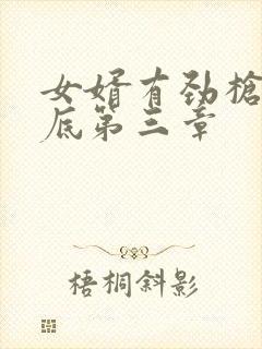 女婿有劲枪枪到底第三章