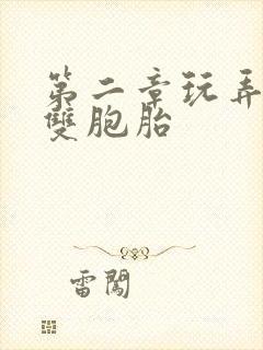 第二章玩弄少妇双胞胎