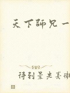 天下师兄一般黑