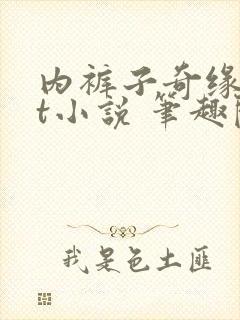 内裤子奇缘txt小说 笔趣阁