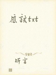 应该txt