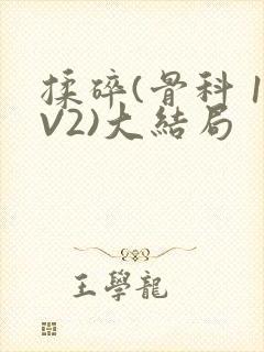 揉碎(骨科 1V2)大结局