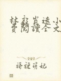 林毅肖远小说免费阅读全文最新章节