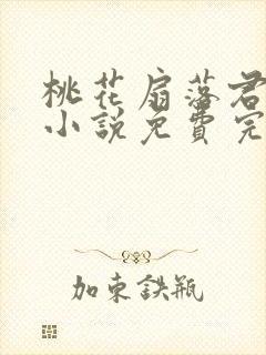 桃花扇落君不还小说免费完整版封面