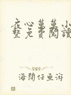 夜心万万小说完整免费阅读全文封面