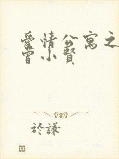 爱情公寓之极品曾小贤