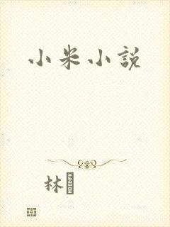小米小说