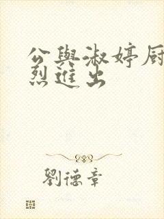 公与淑婷厨房猛烈进出封面