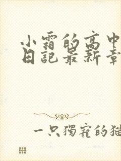 小霜的高中成长日记最新章节