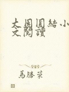 大团圆结小茹全文阅读封面