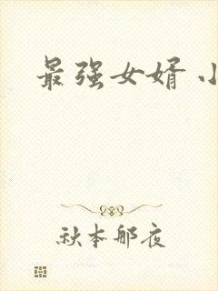 最强女婿 小说