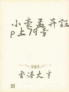 小豪孟卉钰慧三p上79章