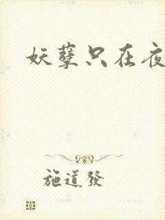 妖孽只在夜里哭封面