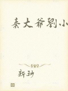 秦大爷刘小静封面