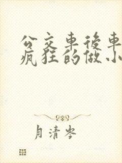 公交车后车座的疯狂的做小