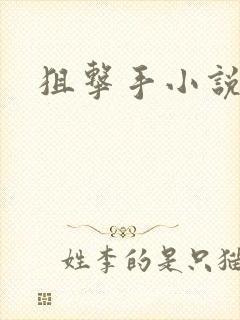 狙击手小说封面