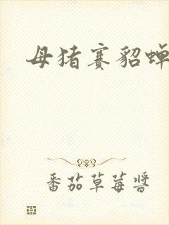 母猪赛貂蝉封面