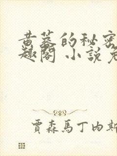 黄蓉的秘密 笔趣阁 小说免费阅读下载封面