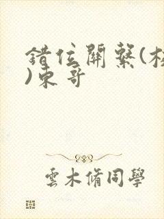 错位关系(校园)东哥