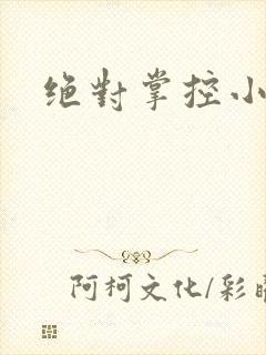 绝对掌控小说