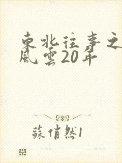 东北往事之黑道风云20年