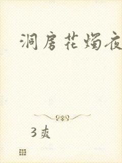 洞房花烛夜小说封面