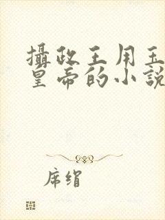摄政王用玉髓整皇帝的小说