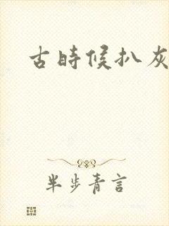 古时候扒灰小说