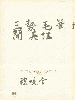 玉势 毛笔 撑开 夹住封面