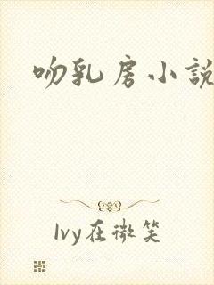 吻乳房小说封面