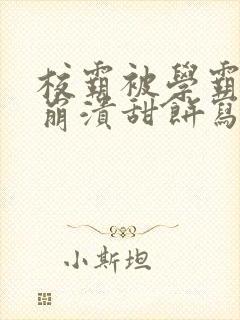 校霸被学霸玩到崩溃甜饼写手