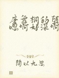 唐舞桐的堕落H嗯啊好深啊封面