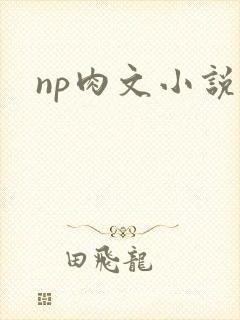 np肉文小说