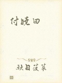 付晓田封面