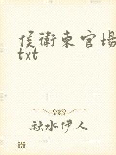 侯卫东官场笔记txt封面