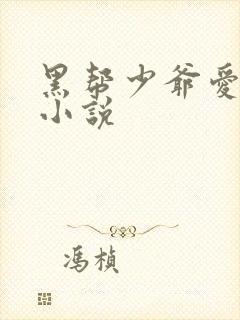 黑帮少爷爱上我小说