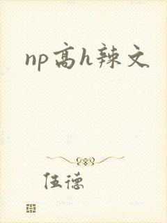 np高h辣文封面