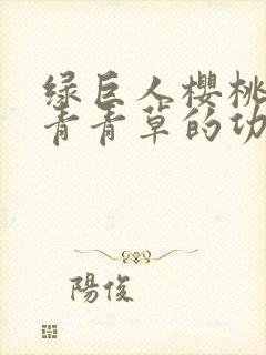 绿巨人樱桃荔枝青青草的功效