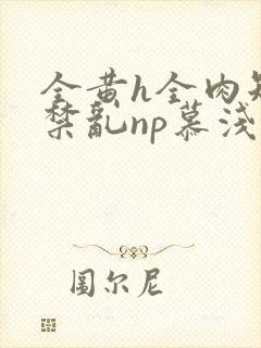 全黄h全肉短篇禁乱np慕浅浅