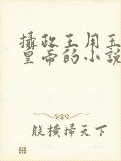 摄政王用玉髓整皇帝的小说