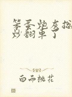 笨蛋炮灰总被爆炒翻车了