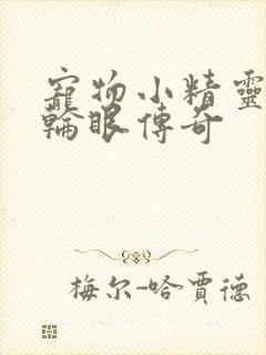 宠物小精灵之写轮眼传奇