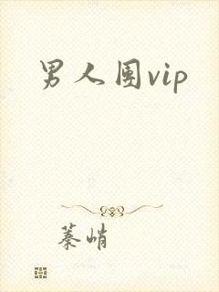 男人团vip