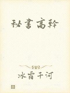 秘书高干